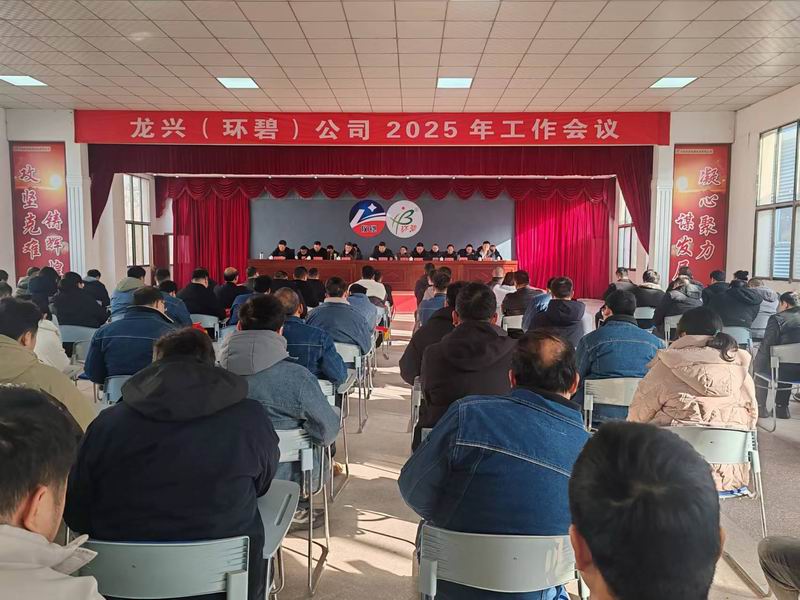 龙兴（星空web版登录入口-星空(中国)
）公司召开2025年工作会议